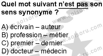 Fransızca 4 Dersi 2024-2025 yılı 3. Dönem sınavı 10. Soru