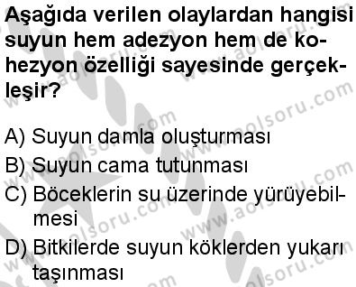 Biyoloji 2 Dersi 2024-2025 yılı 3. Dönem sınavı 1. Soru