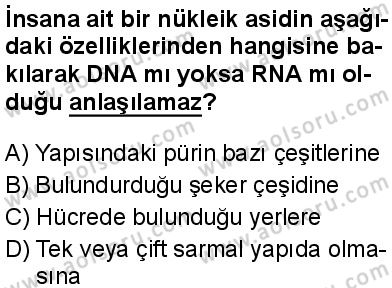 Biyoloji 2 Dersi 2024-2025 yılı 3. Dönem sınavı 3. Soru