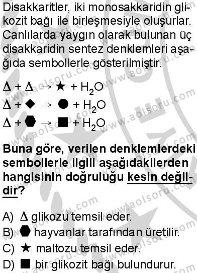 Biyoloji 2 Dersi 2024-2025 yılı 3. Dönem sınavı 4. Soru