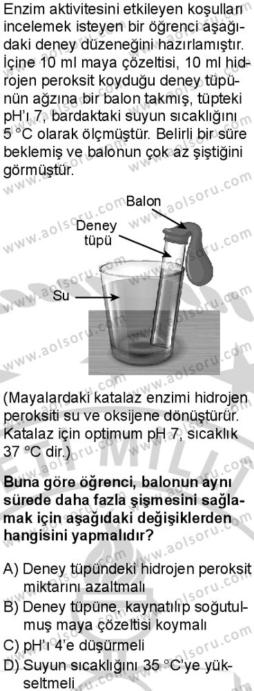 Biyoloji 2 Dersi 2024-2025 yılı 3. Dönem sınavı 5. Soru