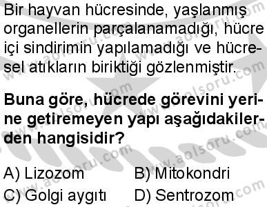 Biyoloji 2 Dersi 2024-2025 yılı 3. Dönem sınavı 6. Soru