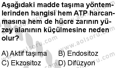 Biyoloji 2 Dersi 2024-2025 yılı 3. Dönem sınavı 8. Soru