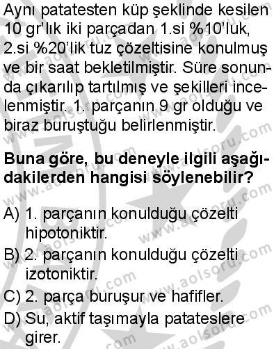 Biyoloji 2 Dersi 2024-2025 yılı 3. Dönem sınavı 9. Soru