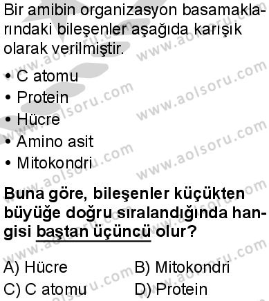 Biyoloji 2 Dersi 2024-2025 yılı 3. Dönem sınavı 10. Soru
