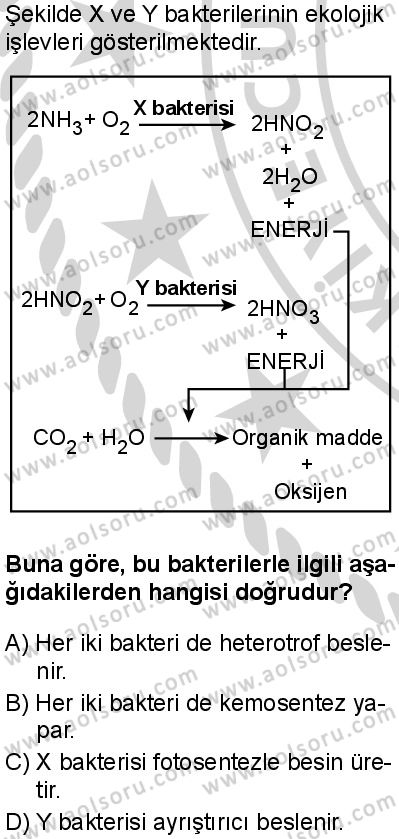 Biyoloji 4 Dersi 2024-2025 yılı 3. Dönem sınavı 3. Soru