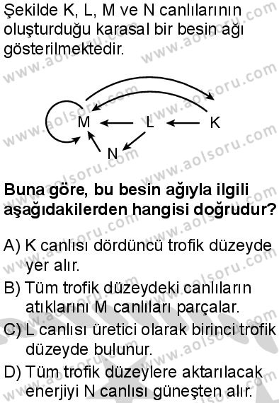 Biyoloji 4 Dersi 2024-2025 yılı 3. Dönem sınavı 4. Soru