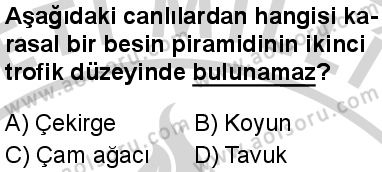 Biyoloji 4 Dersi 2024-2025 yılı 3. Dönem sınavı 5. Soru