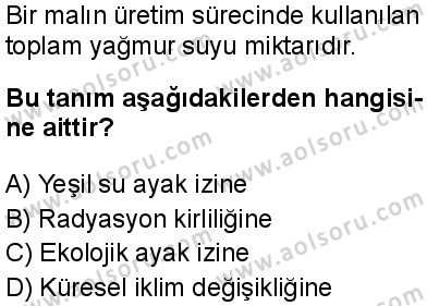 Biyoloji 4 Dersi 2024-2025 yılı 3. Dönem sınavı 8. Soru