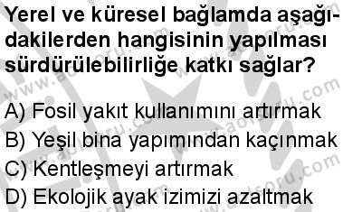 Biyoloji 4 Dersi 2024-2025 yılı 3. Dönem sınavı 9. Soru