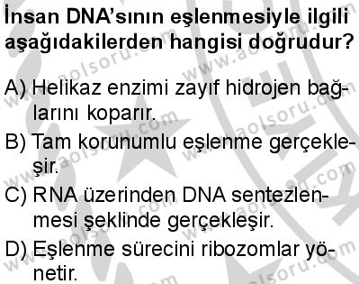 Seçmeli Biyoloji 3 Dersi 2024-2025 yılı 3. Dönem sınavı 3. Soru