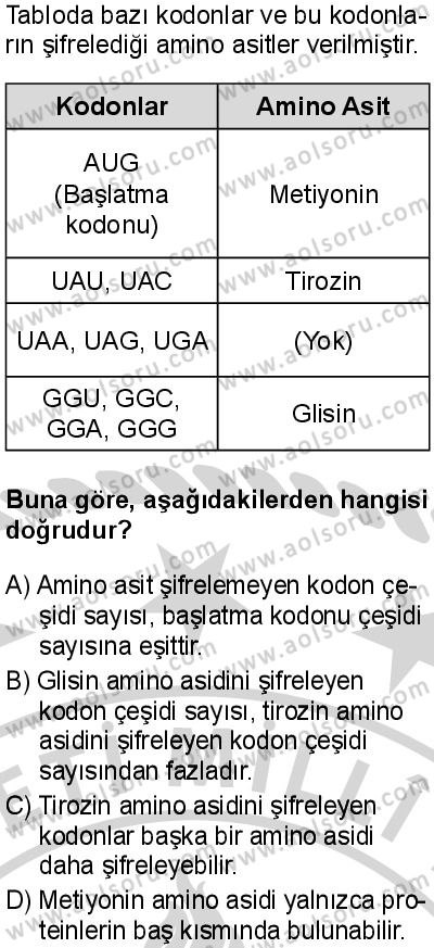 Seçmeli Biyoloji 3 Dersi 2024-2025 yılı 3. Dönem sınavı 5. Soru