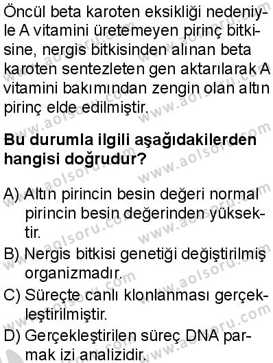 Seçmeli Biyoloji 3 Dersi 2024-2025 yılı 3. Dönem sınavı 7. Soru