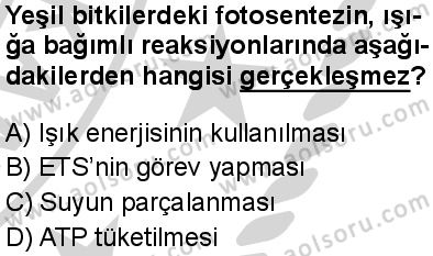 Seçmeli Biyoloji 3 Dersi 2024-2025 yılı 3. Dönem sınavı 9. Soru