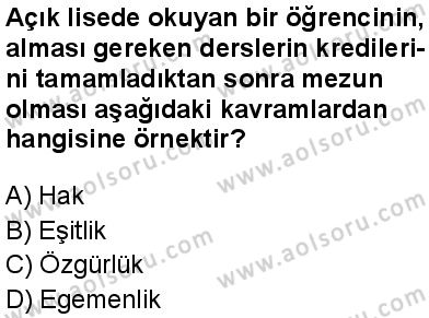 Seçmeli Demokrasi ve İnsan Hakları 1 Dersi 2024-2025 yılı 3. Dönem sınavı 1. Soru