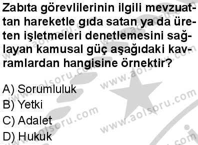 Seçmeli Demokrasi ve İnsan Hakları 1 Dersi 2024-2025 yılı 3. Dönem sınavı 2. Soru