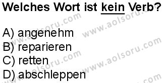 Almanca 7 Dersi 2024-2025 yılı 3. Dönem sınavı 10. Soru