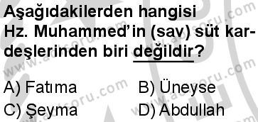 Seçmeli Peygamberimizin Hayatı 1 Dersi 2024-2025 yılı 3. Dönem sınavı 6. Soru