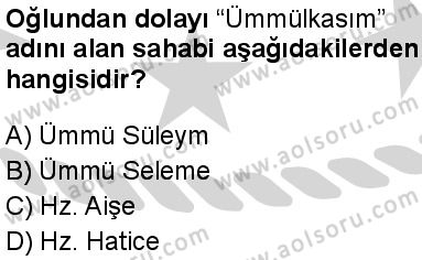 Seçmeli Peygamberimizin Hayatı 1 Dersi 2024-2025 yılı 3. Dönem sınavı 10. Soru
