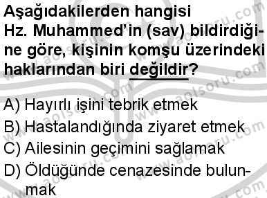 Seçmeli Peygamberimizin Hayatı 6 Dersi 2024-2025 yılı 3. Dönem sınavı 9. Soru