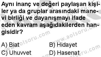 Seçmeli Peygamberimizin Hayatı 6 Dersi 2024-2025 yılı 3. Dönem sınavı 10. Soru