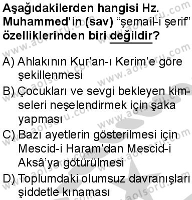 Seçmeli Peygamberimizin Hayatı 8 Dersi 2024-2025 yılı 3. Dönem sınavı 6. Soru
