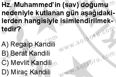 Seçmeli Peygamberimizin Hayatı 8 Dersi 2024-2025 yılı 3. Dönem sınavı 8. Soru