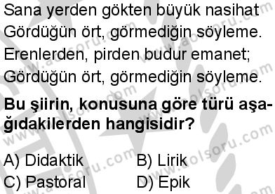 Türk Dili ve Edebiyatı 1 Dersi 2024-2025 yılı 3. Dönem sınavı 4. Soru