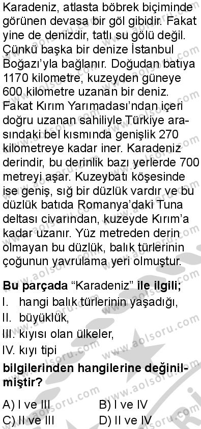 Türk Dili ve Edebiyatı 1 Dersi 2024-2025 yılı 3. Dönem sınavı 6. Soru