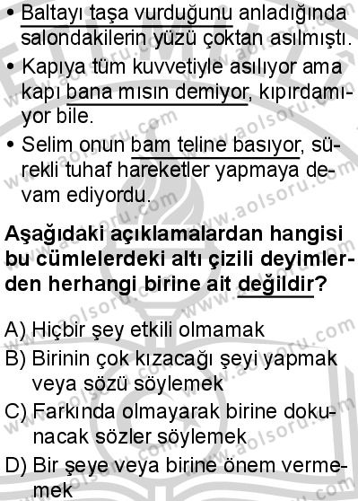 Türk Dili ve Edebiyatı 1 Dersi 2024-2025 yılı 3. Dönem sınavı 9. Soru