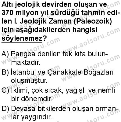 Coğrafya 3 Dersi 2024-2025 yılı 3. Dönem sınavı 2. Soru