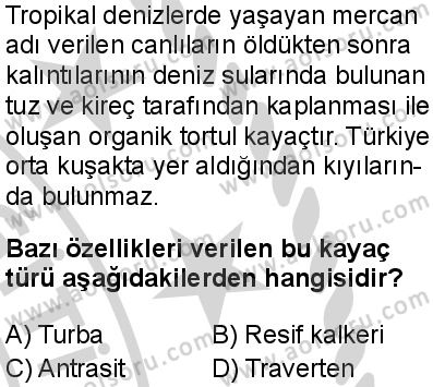 Coğrafya 3 Dersi 2024-2025 yılı 3. Dönem sınavı 3. Soru