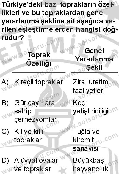 Coğrafya 3 Dersi 2024-2025 yılı 3. Dönem sınavı 9. Soru
