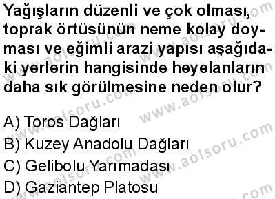 Coğrafya 4 Dersi 2024-2025 yılı 3. Dönem sınavı 10. Soru