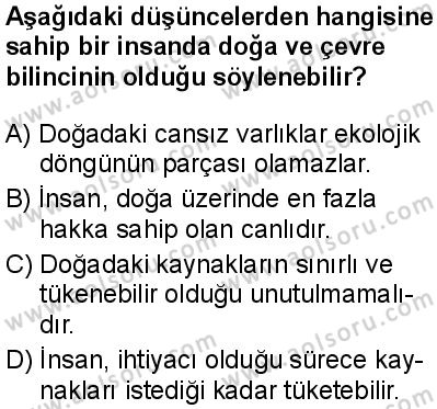 Seçmeli Coğrafya 4 Dersi 2024-2025 yılı 3. Dönem sınavı 9. Soru