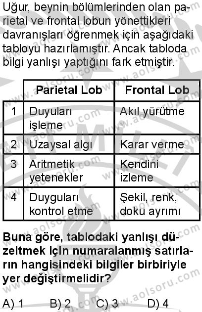 Seçmeli Psikoloji 1 Dersi 2024-2025 yılı 3. Dönem sınavı 4. Soru