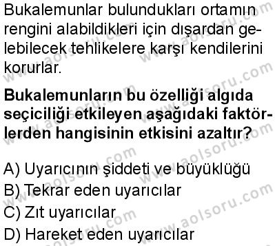 Seçmeli Psikoloji 1 Dersi 2024-2025 yılı 3. Dönem sınavı 6. Soru