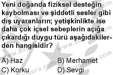 Seçmeli Psikoloji 1 Dersi 2024-2025 yılı 3. Dönem sınavı 8. Soru