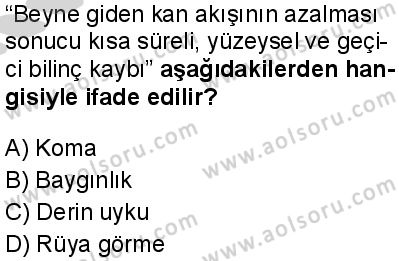 Seçmeli Psikoloji 1 Dersi 2024-2025 yılı 3. Dönem sınavı 9. Soru