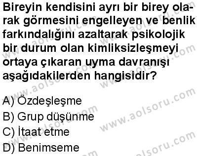 Seçmeli Psikoloji 1 Dersi 2024-2025 yılı 3. Dönem sınavı 10. Soru