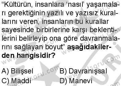 Seçmeli Sosyoloji 2 Dersi 2024-2025 yılı 3. Dönem sınavı 1. Soru