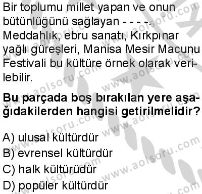 Seçmeli Sosyoloji 2 Dersi 2024-2025 yılı 3. Dönem sınavı 2. Soru