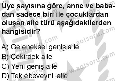 Seçmeli Sosyoloji 2 Dersi 2024-2025 yılı 3. Dönem sınavı 6. Soru