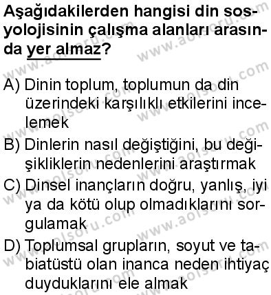 Seçmeli Sosyoloji 2 Dersi 2024-2025 yılı 3. Dönem sınavı 8. Soru