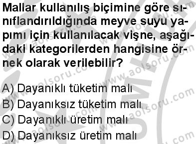Seçmeli Sosyoloji 2 Dersi 2024-2025 yılı 3. Dönem sınavı 9. Soru