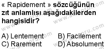 Fransızca 3 Dersi 2024-2025 yılı 3. Dönem sınavı 9. Soru
