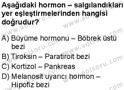 Seçmeli Biyoloji 1 Dersi 2024-2025 yılı 3. Dönem sınavı 2. Soru