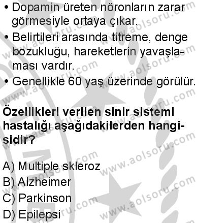 Seçmeli Biyoloji 1 Dersi 2024-2025 yılı 3. Dönem sınavı 3. Soru
