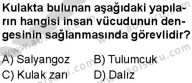 Seçmeli Biyoloji 1 Dersi 2024-2025 yılı 3. Dönem sınavı 4. Soru