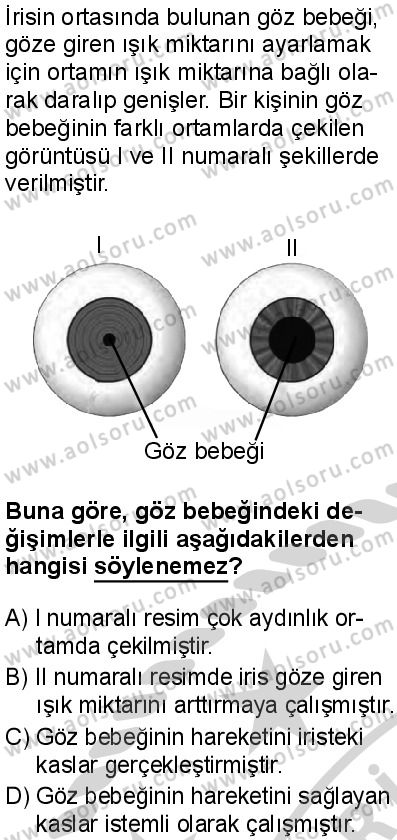 Seçmeli Biyoloji 1 Dersi 2024-2025 yılı 3. Dönem sınavı 5. Soru